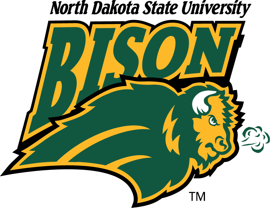 North Dakota State Bison 1999-2012 Alternate Logo diy iron on heat transfer